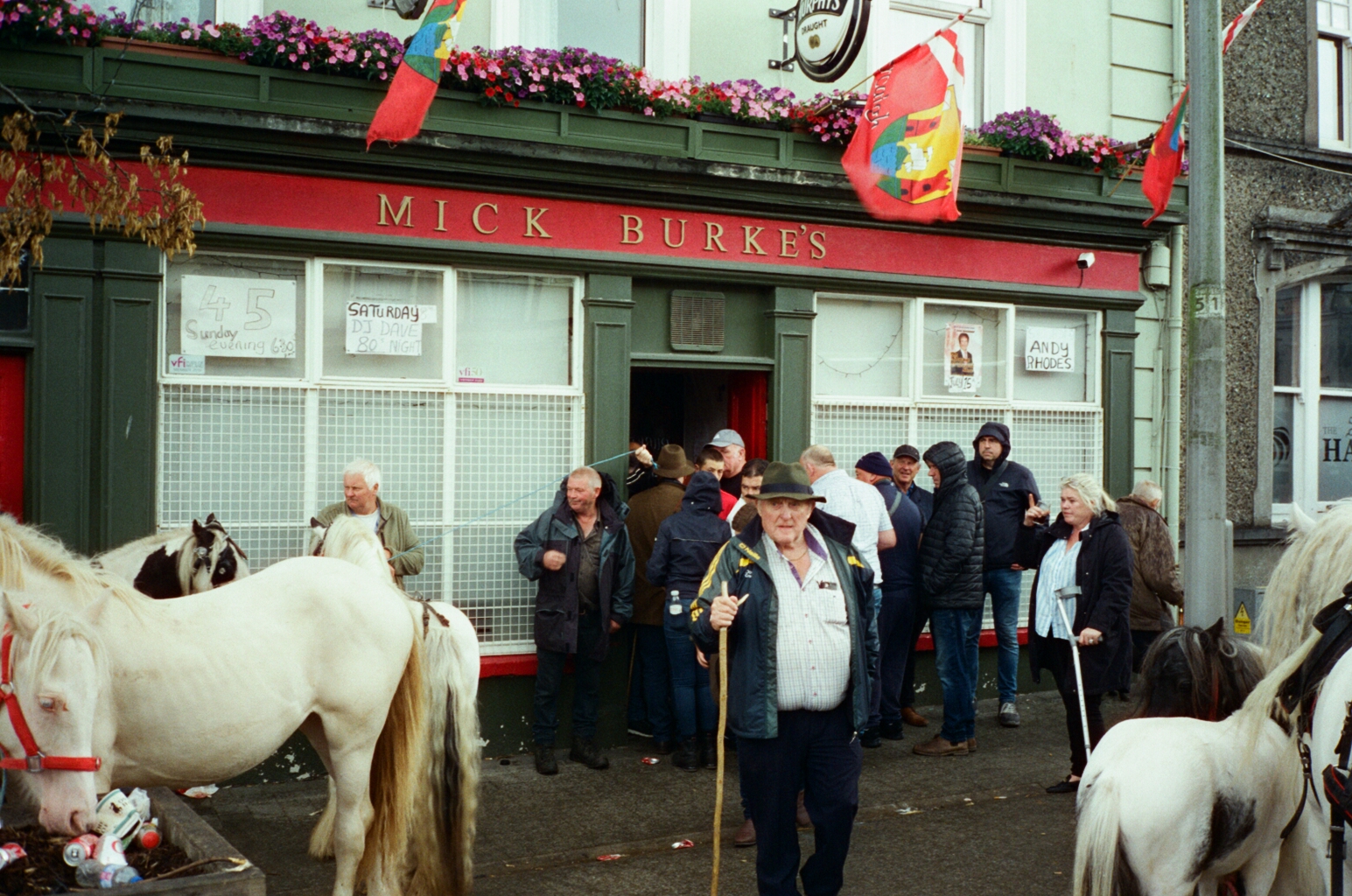 Flags flying over Burke's