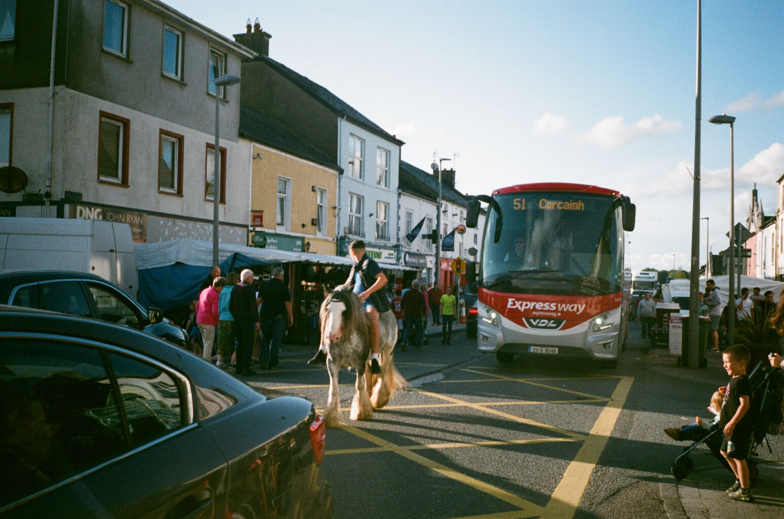 Horse meets the Cork bus
