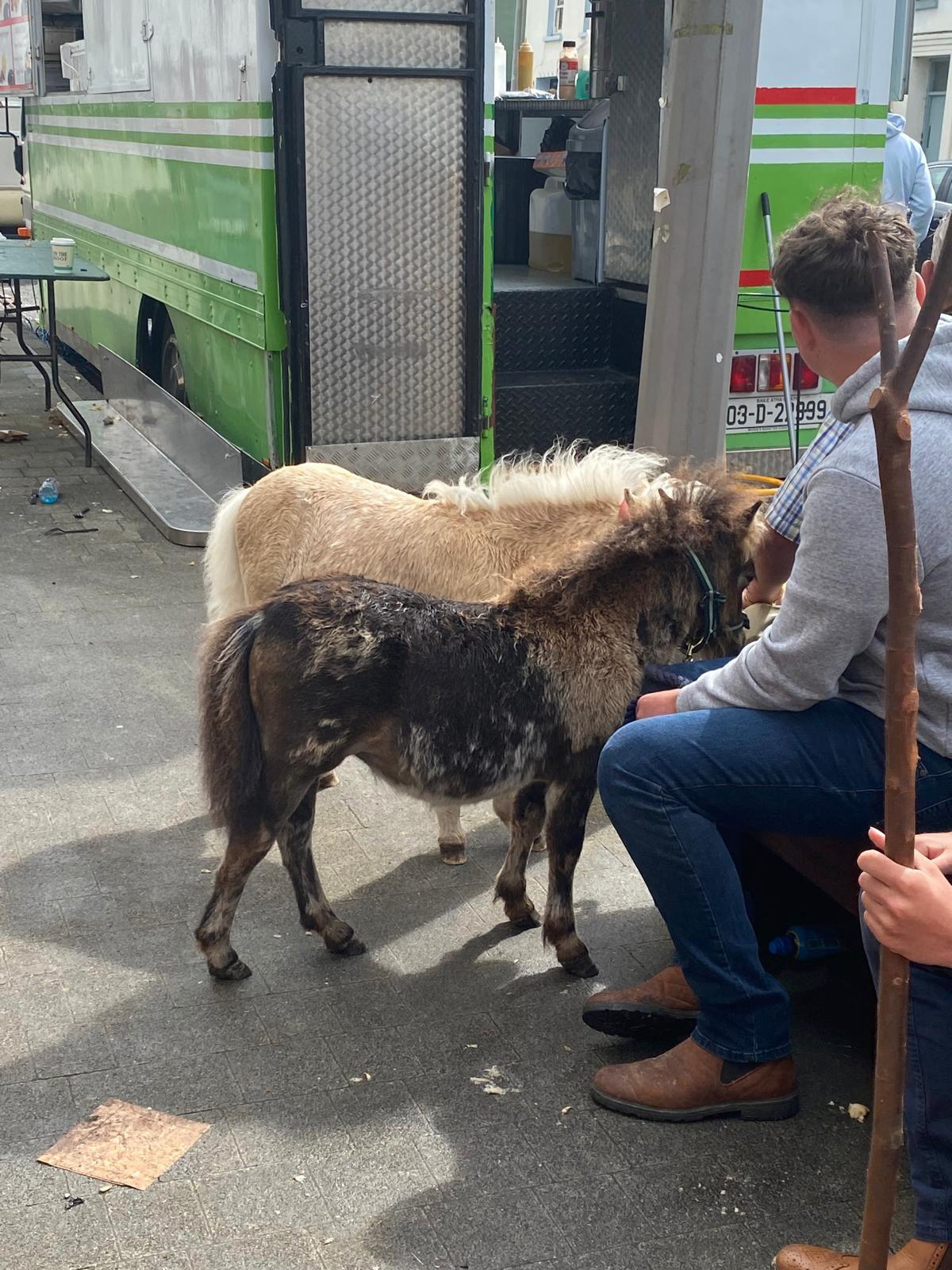Ponies stopping by